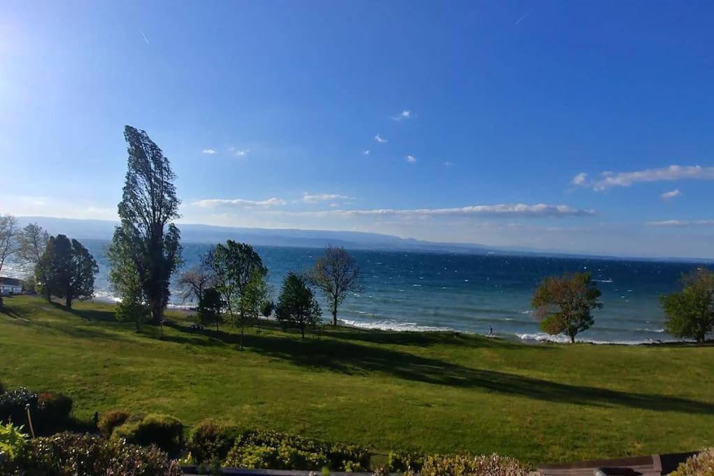 Lakefront. Appartement Pieds Dans L'Eau. View And Direct Access To The Lake. Anthy-sur-Leman Exterior photo
