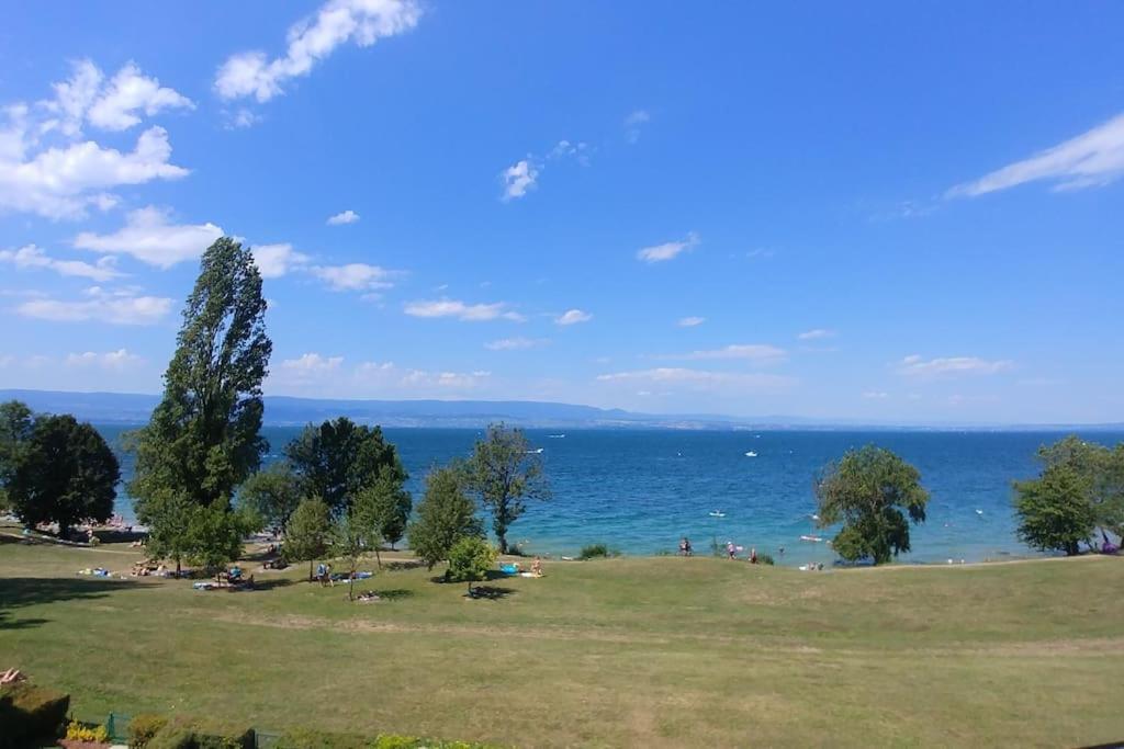 Lakefront. Appartement Pieds Dans L'Eau. View And Direct Access To The Lake. Anthy-sur-Leman Exterior photo